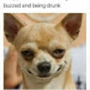 Meet your Posher, Stacii